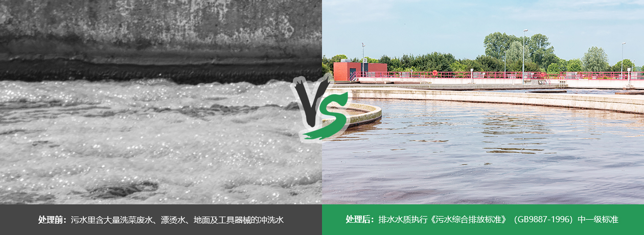 食品厂废水处理案例